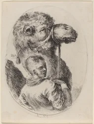 Bräutigam mit einem Kamel, 1649