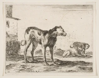 Platte 11: Hunde, aus Verschiedene Tiere, ca. 1641