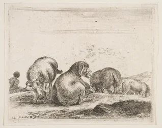 Tafel 12: Schafe und Widder auf einer Weide, aus Verschiedene Tiere, ca. 1641