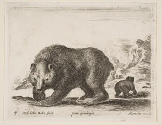 Tafel 4: Bär, aus 