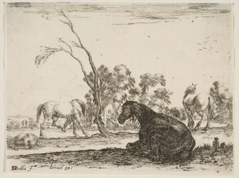 Tafel 8: ein sitzendes Pferd nach rechts, von hinten gesehen und nach links gedreht, drei andere Pferde..., 1642