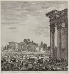 Der Tempel von Antonin und das Campo Vaccino