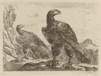 Zwei Adler, beide mit nach rechts gedrehten Köpfen