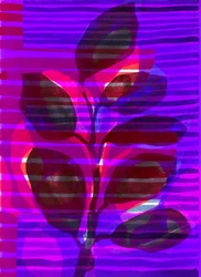 Botanischer Streifen I, 2018