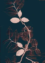 Freyr VII Dunkles Kupfer, 2018