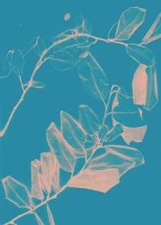 Freyr VI Morgendämmerung