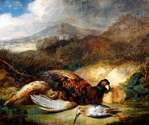 Fasan und Waldschnepfe in einer Landschaft