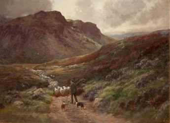 Landschaft