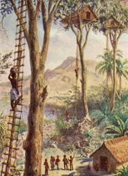 Illustration des Lebens von Bischof Patteson