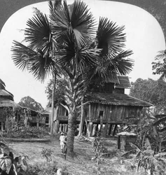 Einheimisches Haus auf Pfählen gebaut, Bhamo, Burma, 1908