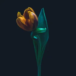 Einzigartige Tulpe, 2022 (Foto)