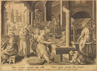 Seidenextraktion Vermis sericus