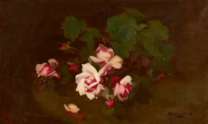 Rosen in Blüte