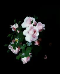 Rosa Rosen. Gemälde von Stuart Park (1862-1933) Privatsammlung