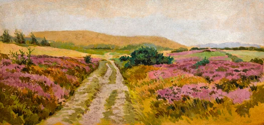Landschaft mit Heidekraut