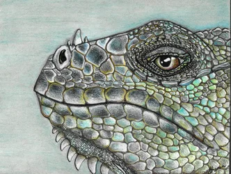Lebhafte Leguan-Schuppen