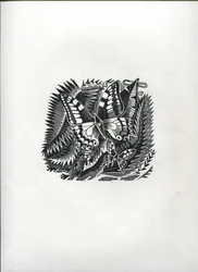 Tropische Schmetterlinge