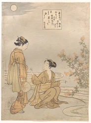 Der Tamagawa des Buschenklees