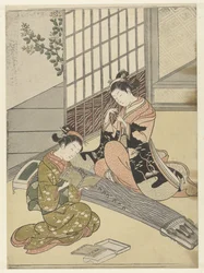 Landende Gänse bei den Koto-Brücken