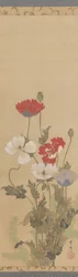 Mohnblumen, Mitte des 19. Jahrhunderts