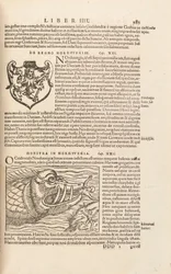 Seite 983 aus Cosmographiae Universalis von Sebastian Muenster, Basel, 1572