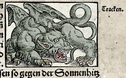 Darstellung eines Drachen: Gravur aus Johann Stumpffs „Den Edlen Strengen Besten Fromen“. 1550