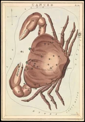 Krebs, ca. 1825
