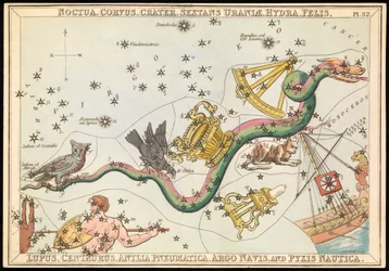 Noctua, Corvus, Crater, Sextans Uraniae, Hydra, Felis, Lupus, Centaurus, Antilia Pnuematica, Argo Navis und Pysix Nautica, um 1825
