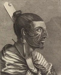 Kopf eines Neuseeländers mit einem Kamm im Haar