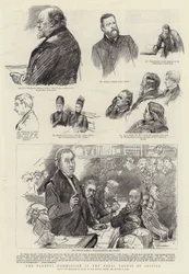Die Parnell-Kommission am Royal Courts of Justice