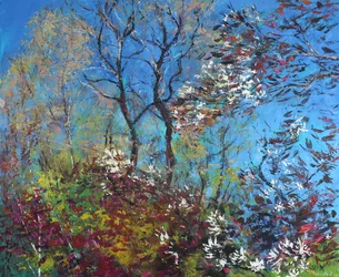 Blüten und blauer Himmel