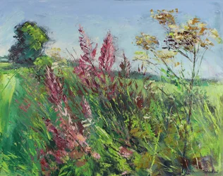 Landweg im Frühsommer