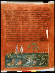 Ganzseitig: Text und Miniatur: Jakob und Laban teilen die Herden
