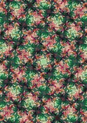 Tropische Palme