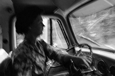 Mildred Cooper ist eine 43-jährige Großmutter und LKW-Fahrerin mit einem Holztransporter