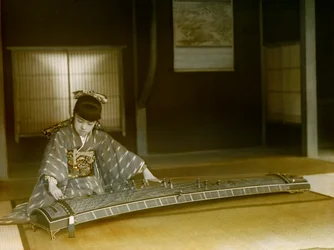 Porträt einer japanischen Frau, die Koto spielt, um 1900 - 1915