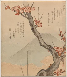 Pflaumenbaum mit Berg Fuji