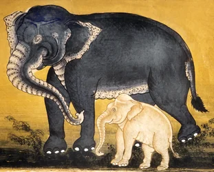Elefant und Kalb, Seite aus einem Manuskript über die Ausbildung von Elefanten