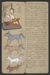 Or 16455 f.3r, Tiere aus dem Tierkreis, aus Phrommachat