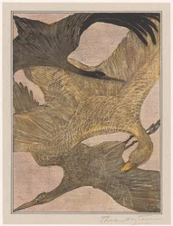 Drei fliegende Vögel
