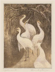 Sechs Kraniche am Wasser