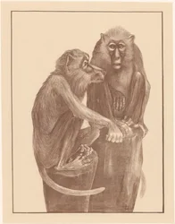 Zwei Affen auf Baumstümpfen (Tierstudien)