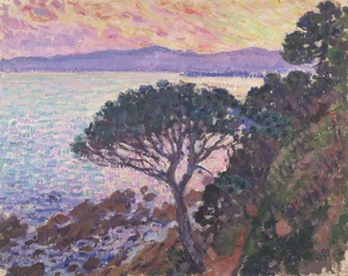 Kiefer am Meer bei Sonnenuntergang