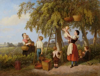 Die Kirschenernte
