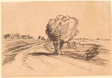 Wegbiegung mit Weidenbaum