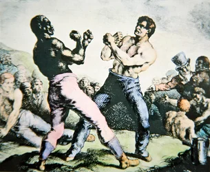 Die Boxer
