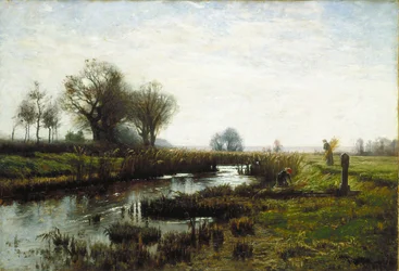 Später Nachmittag, Dachauer Moor