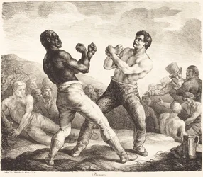 Boxer