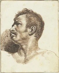 Kopf eines Mannes (recto)