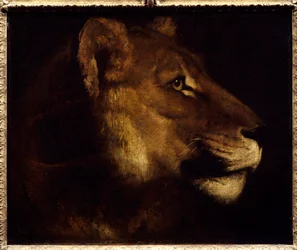 Löwenkopf (Gemälde von Theodore Gericault, 19. Jahrhundert)